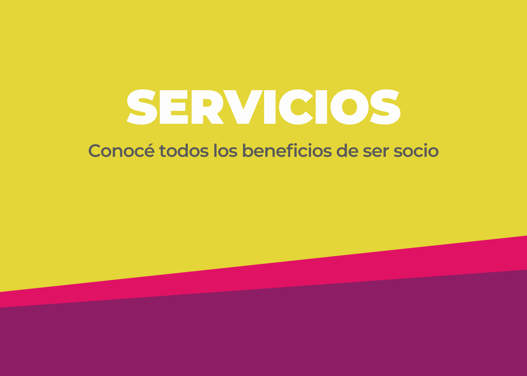 Descuentos en tus compras